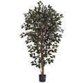 Nearly Natural 6 ft. Capensia Ficus Tree x3 With 1008 Leaves 5436